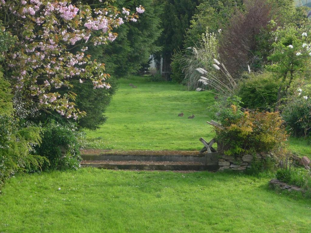 The Station Guest House Galmpton Extérieur photo