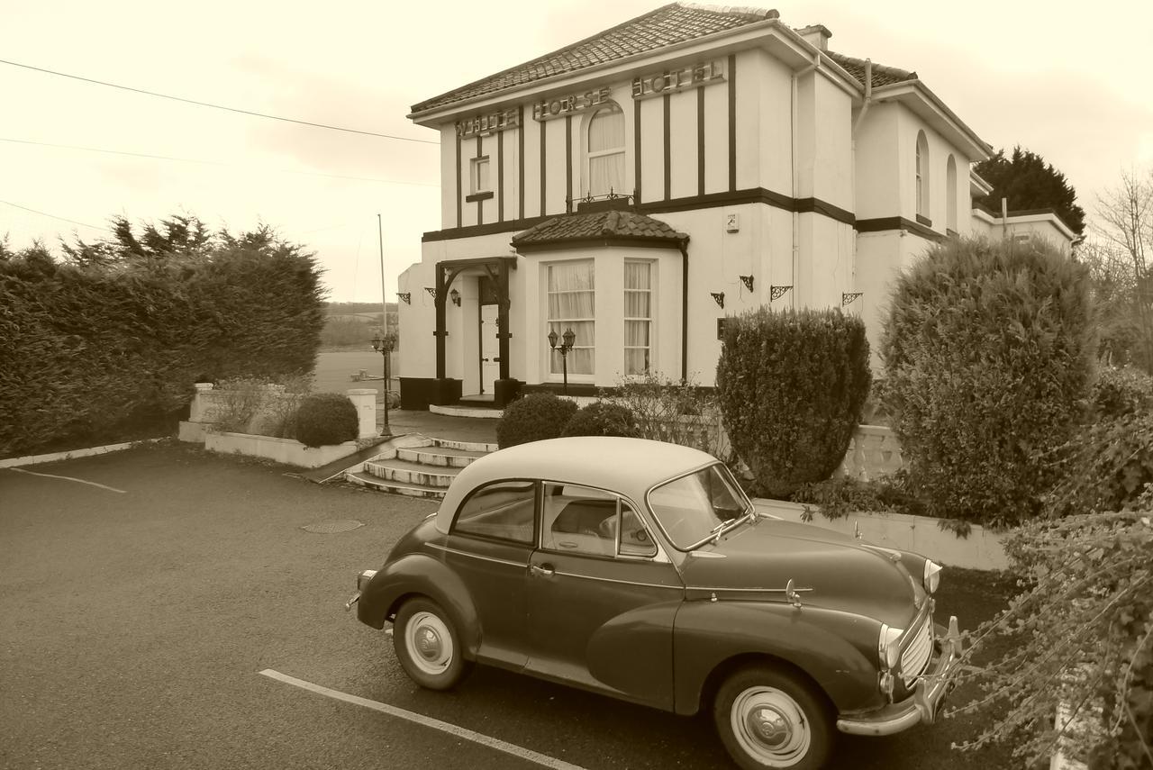 The Station Guest House Galmpton Extérieur photo